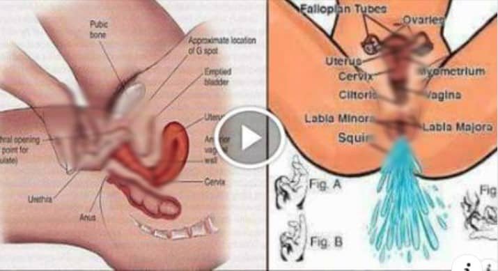 Atención 7 TRUCOS que van hacer que tu pareja llegue al 0rgäsm0 en un abrir y cerrar de ojos.La #4 la dejara loca